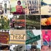 instagram-temp-100×100
