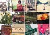instagram-temp-100×70
