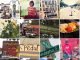 instagram-temp-80×60